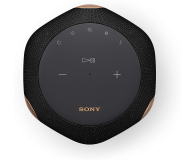 Sony SRS-RA3000 Czarny - 642150 - zdjęcie 3